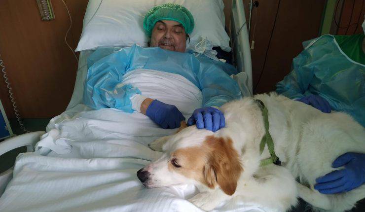 cane in ospedale