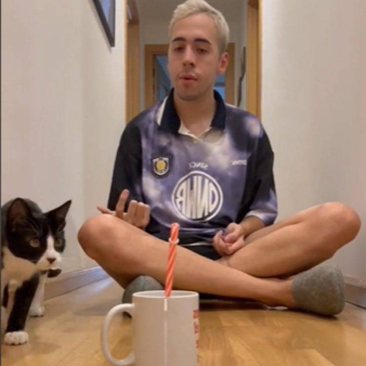 gatto oreo decisione cane