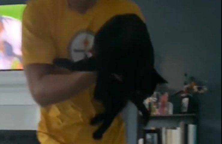 moglie triste coccole gatti