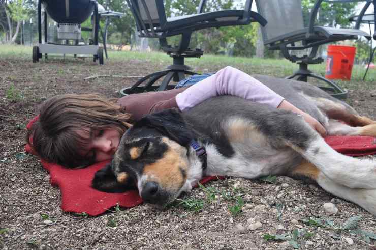 persona e cane dormono 