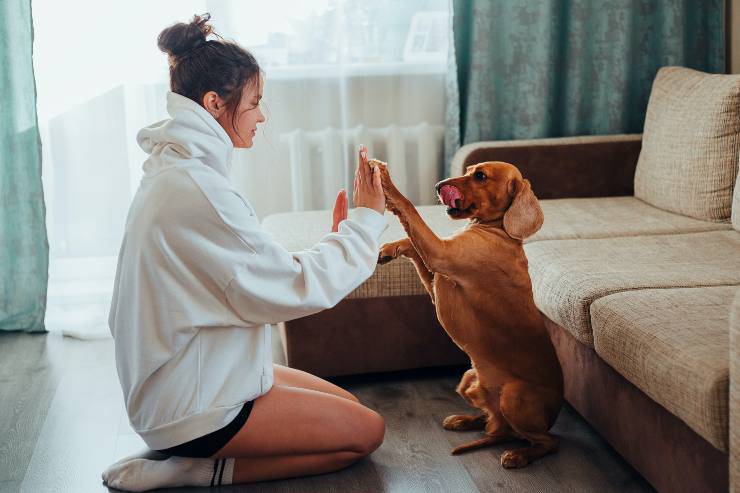 Le donne che parlano ai cani