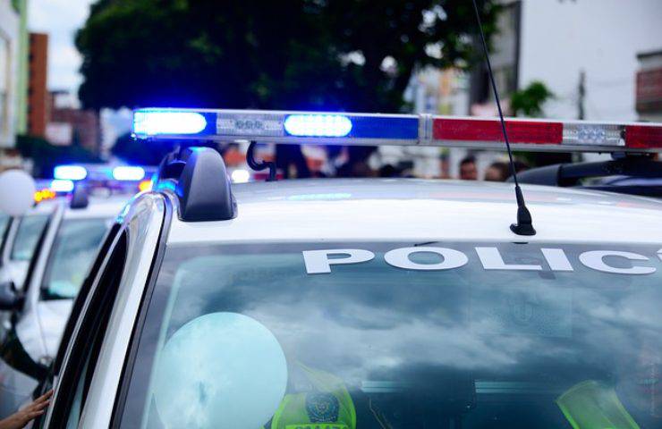 Un atto atroce e efferato, donna accoltella il suo cane
