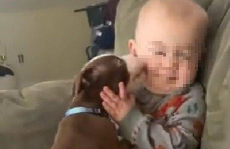 cane da bacini a bambino