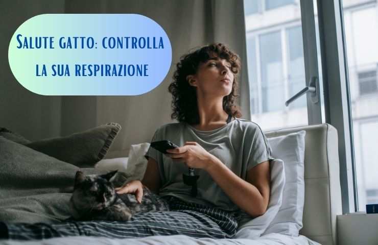 Donna controlla respiro gatto
