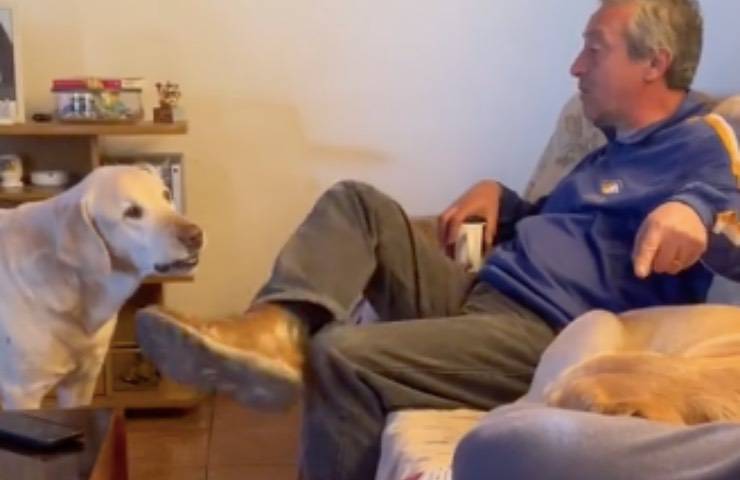 cane parla papà umano