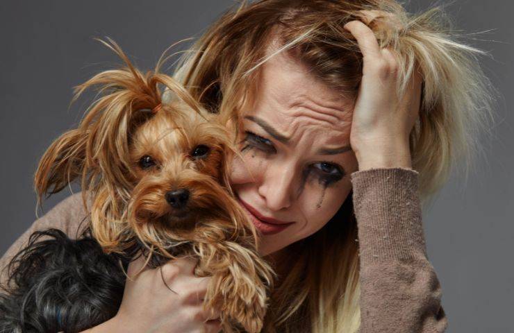 Cane e padrona stressati