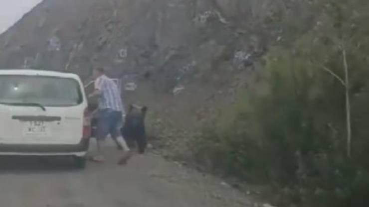 Uomo e orso video