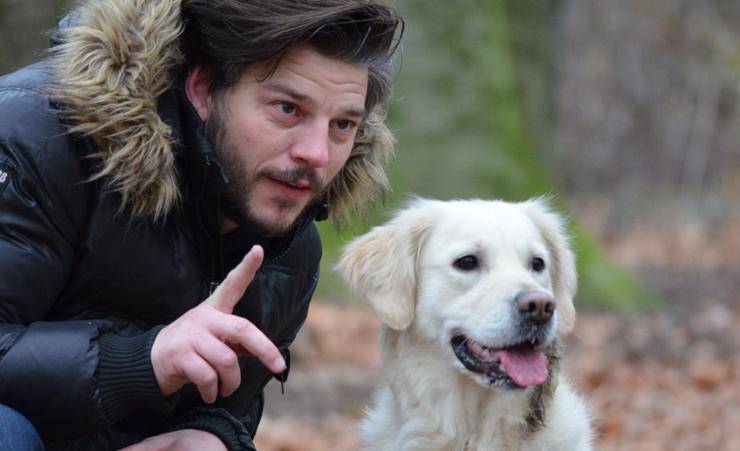 cane con padrone