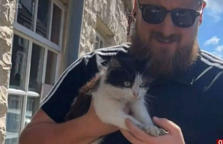 gattina cofano video salvataggio