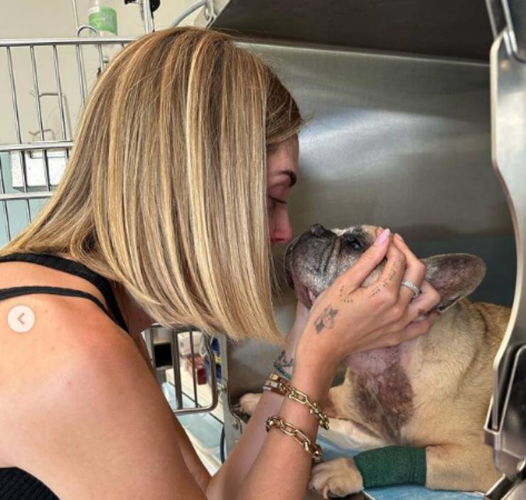 cane Paloma ferragni fedez