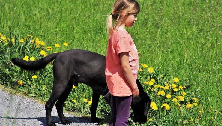 Bambina con cane
