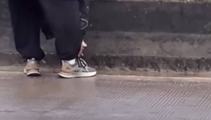 raccogliere gattino dalla strada