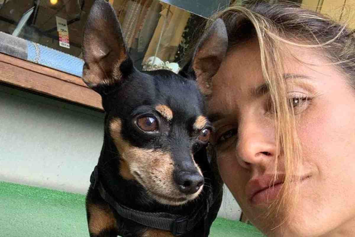 Elisabetta Canalis devastata per la perdita