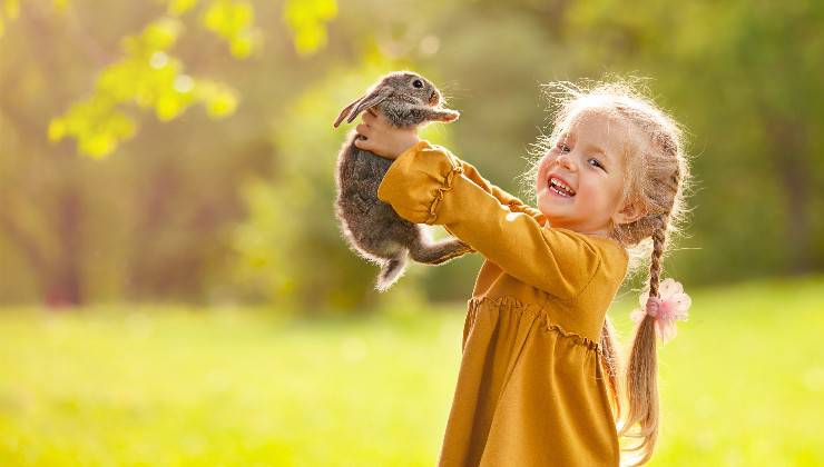 coniglio tra le mani della bambina