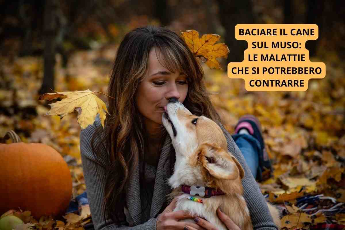 baciare cane malattie