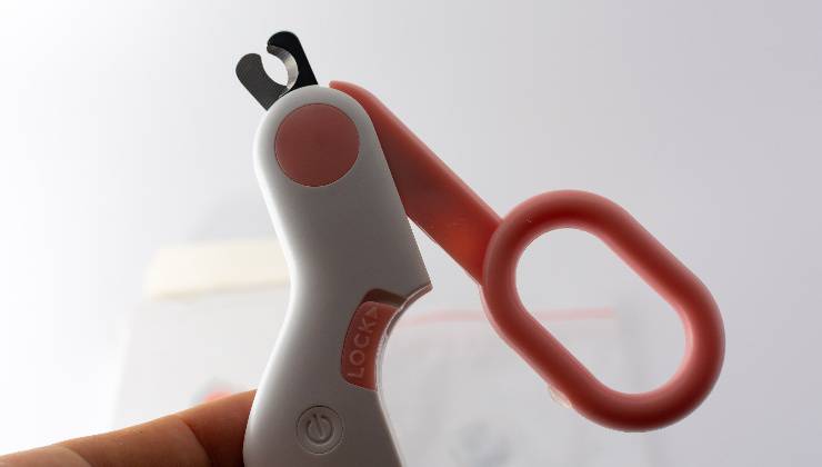 piccole forbici per il taglio delle unghie del pappagallo