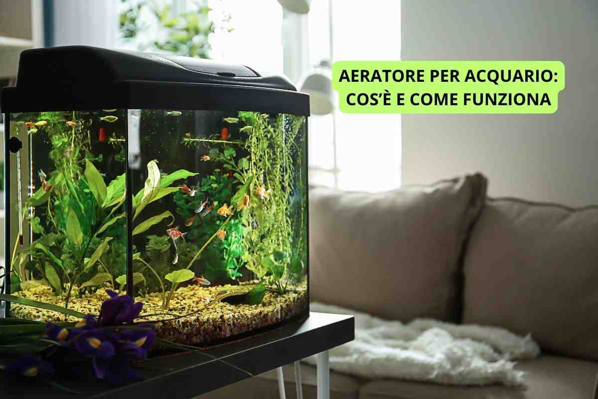 aeratore per acquario