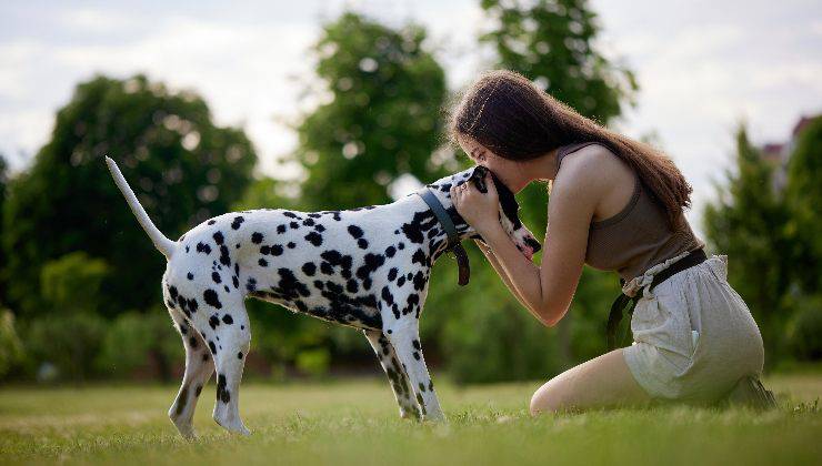 cane nel parco che scodinzola alla donna