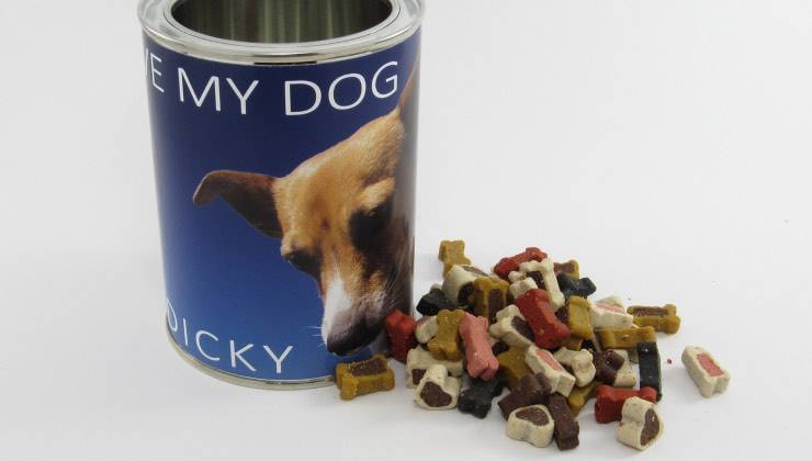 Una lattina per conservare le crocchette a forma di osso dei cani 