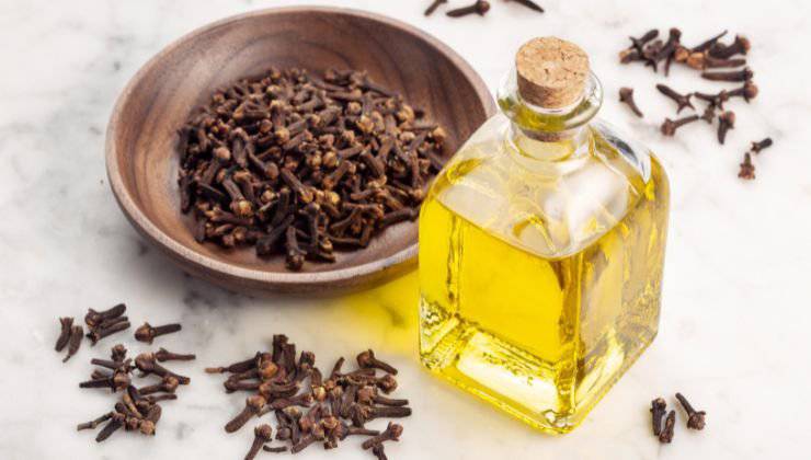 Chiodi di garofano e olio essenziale di chiodi di garofano