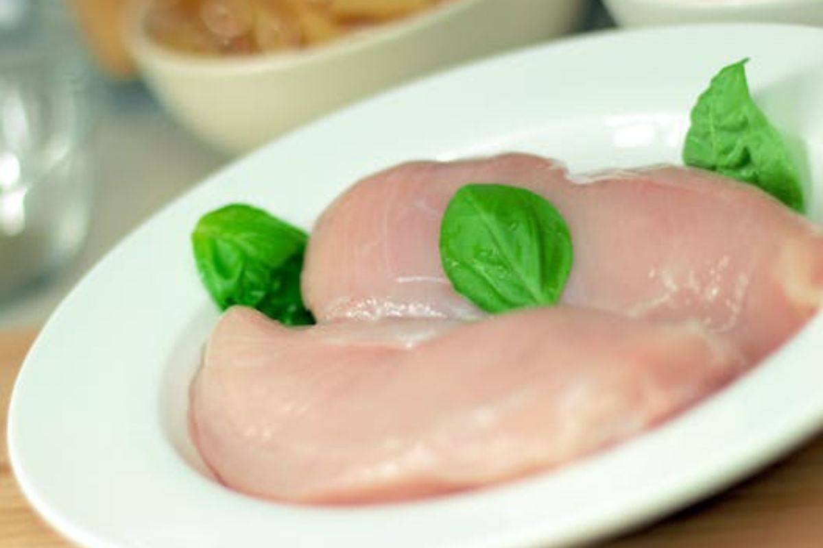 Cucina il pollo per il tuo cane