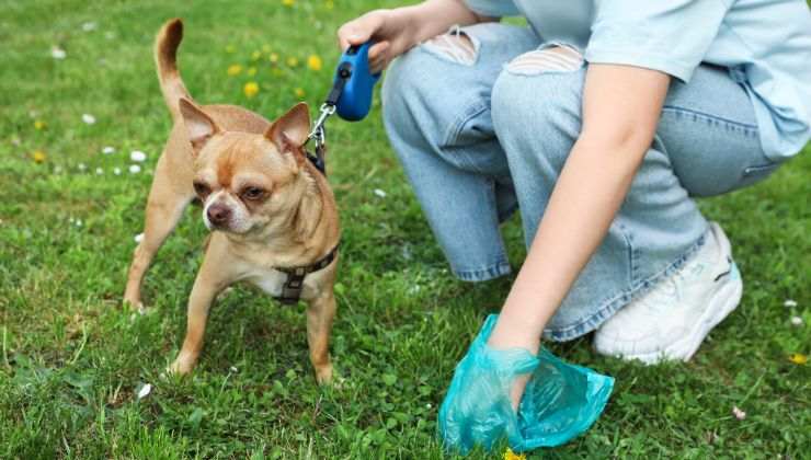 Padrone raccoglie bisogni del cane