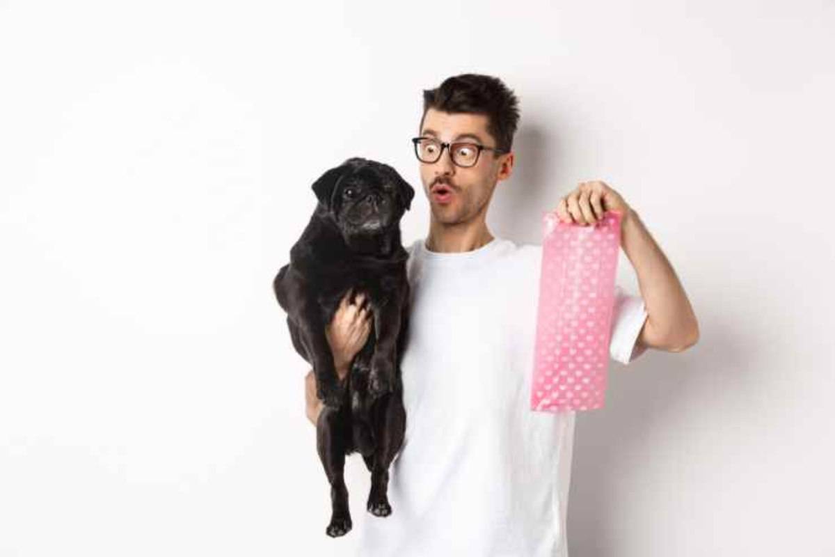 Lo smaltimento dei bisogni del cane