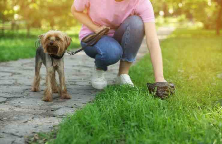 Lo smaltimento dei bisogni del cane