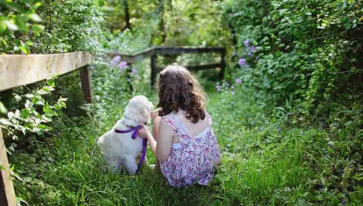 Piccolo cane bianco seduto accanto a una bambina in un prato