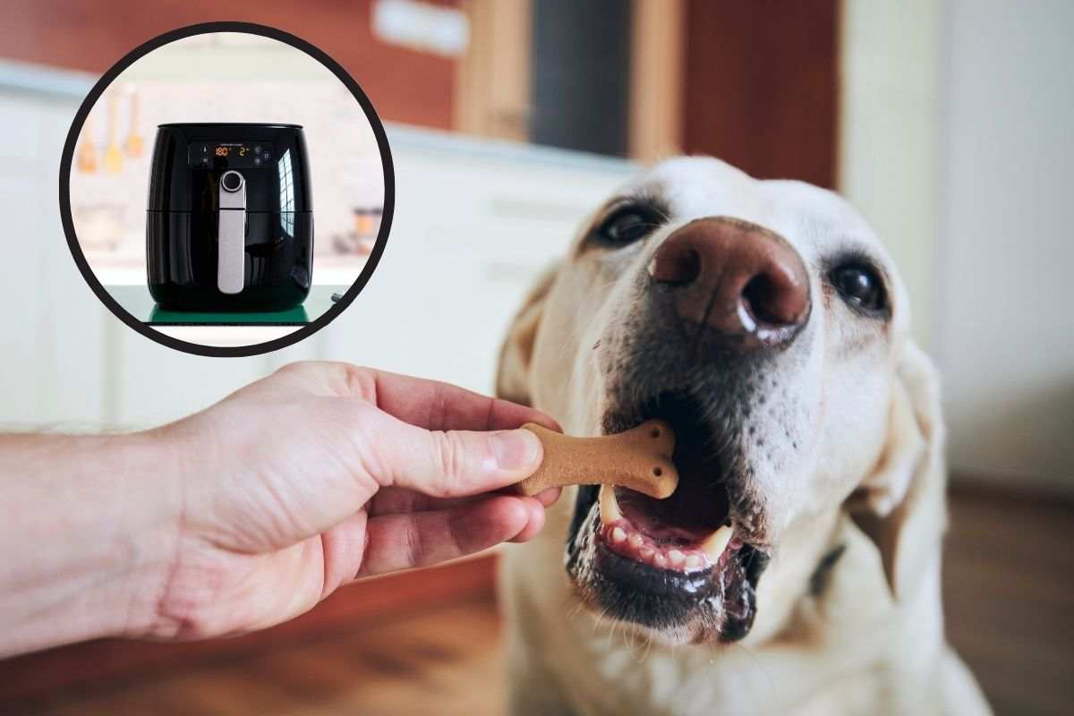 Donna dà un biscotto al cane cotto in friggitrice ad aria