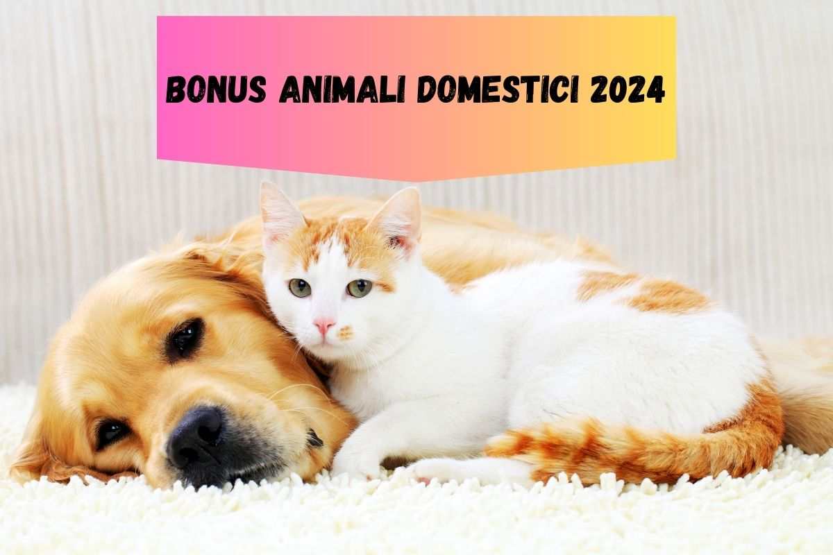 Gatto appoggiato al cane come richiedere il bonus per animali domestici