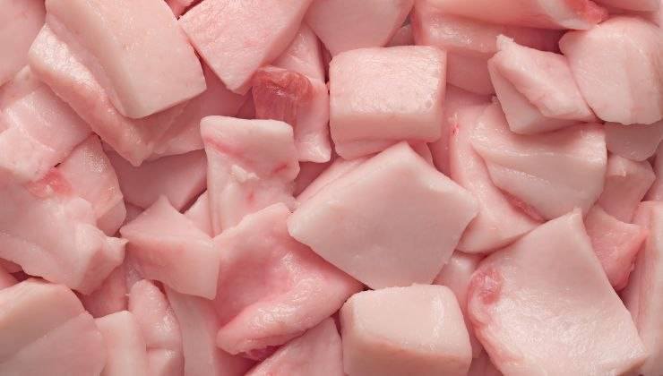 Carne di maiale