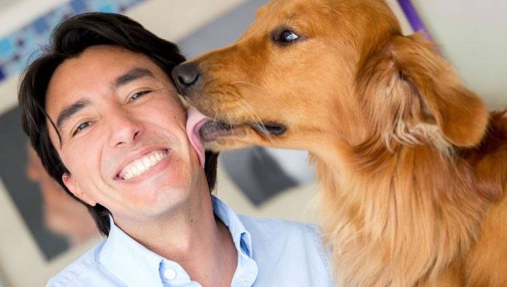 Uomo ha acquistato l'amore del cane che lo lecca