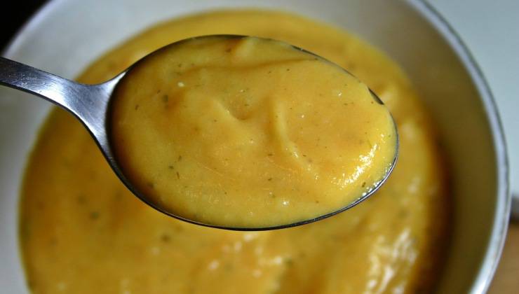 Zuppa di moro per cani una zuppa costituita da carote e acqua