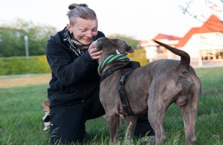 Piacere ai cani non è sempre facile