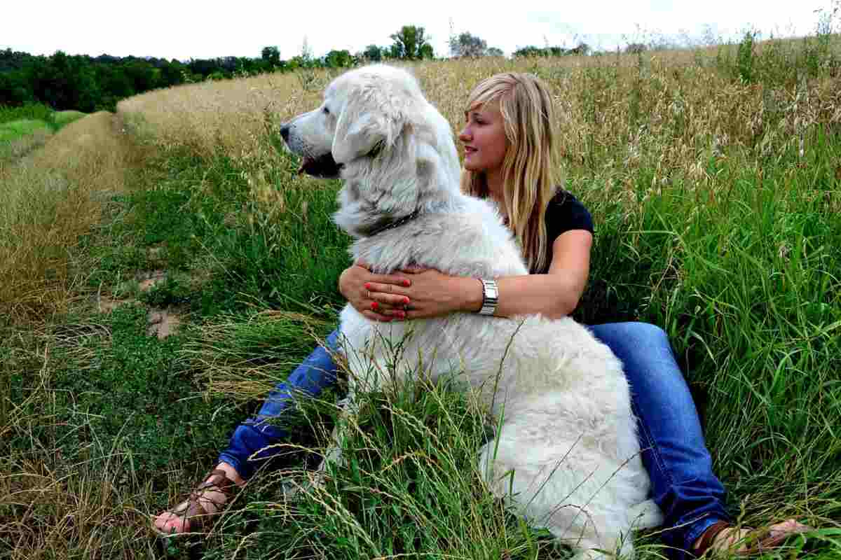 Cane con pet mate