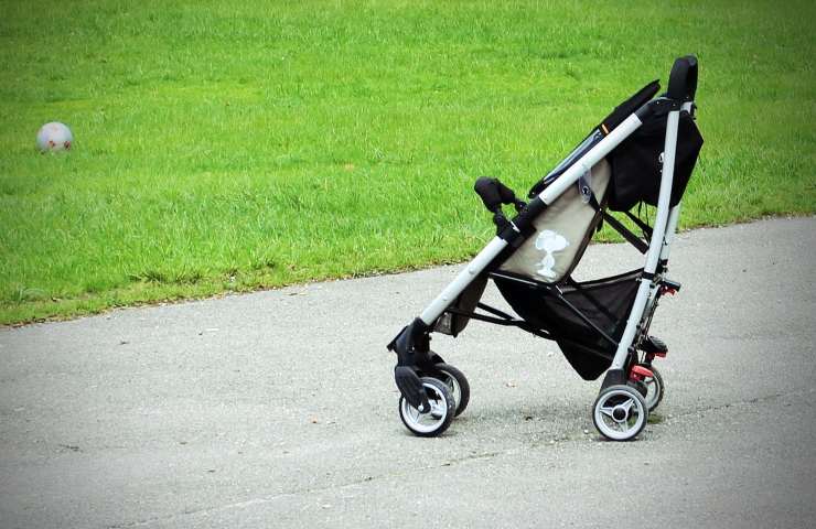 passeggini per gatti