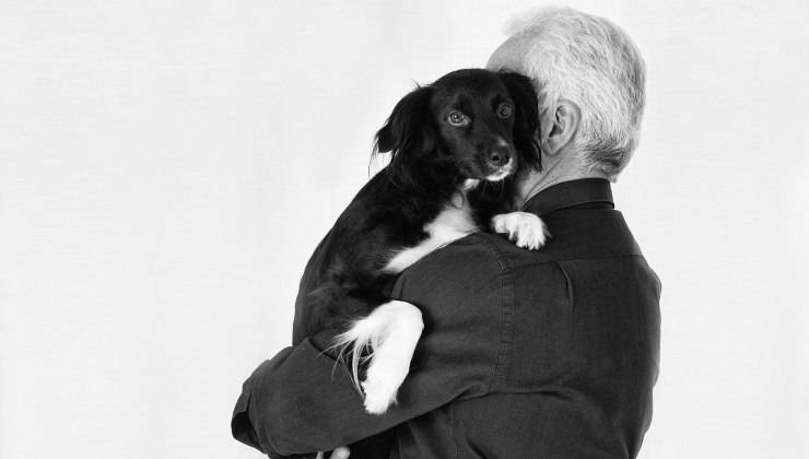 Cane in braccio all'uomo 
