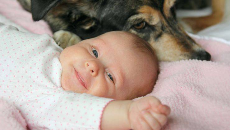 Cane e neonato