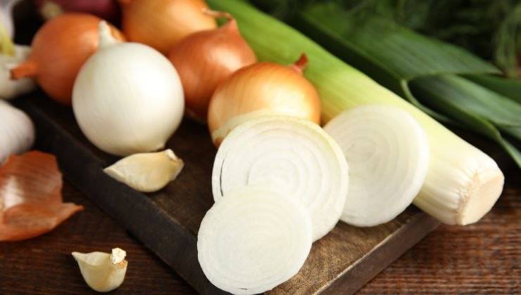 Verdure della famiglia Allium