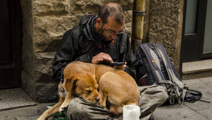 uomo senza fissa dimora insieme al suo cane