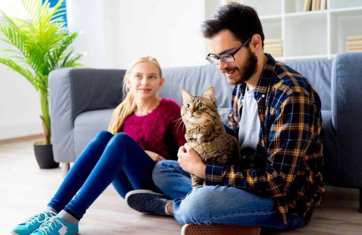 Vuoi un gatto perché meno impegnativo