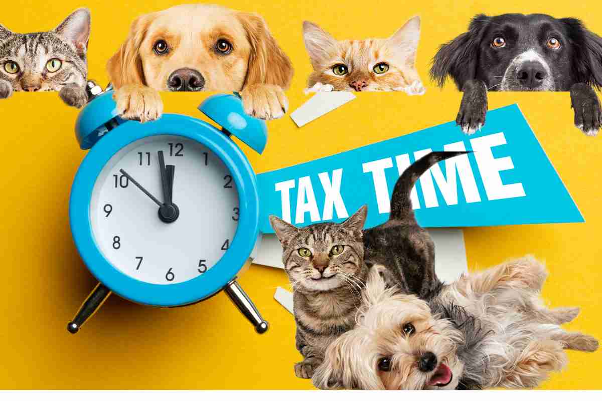 tasse per cani e gatti