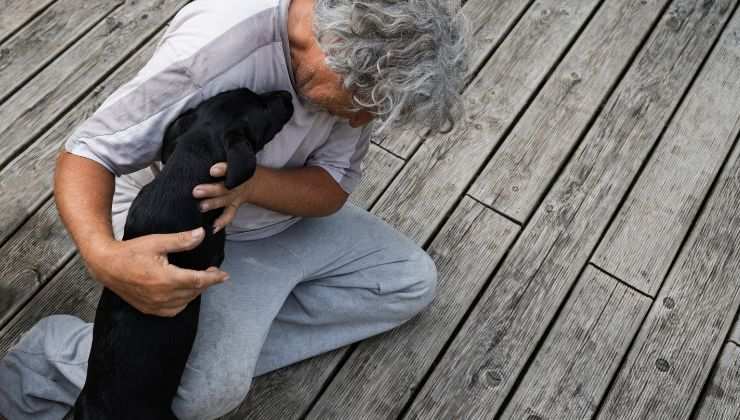 Labrador nero e padrone