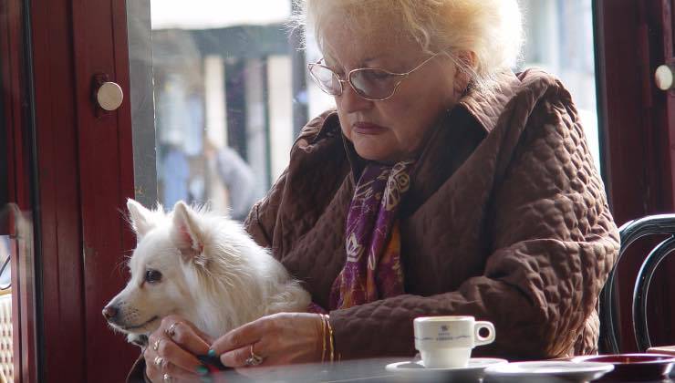 Donna anziana al bar con il suo animale domestico