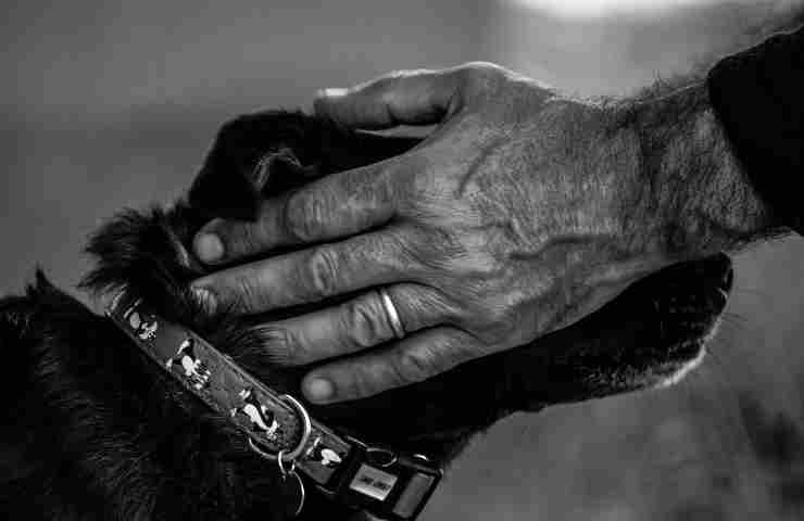 Non poteva continuare a vivere senza di lui, si è lasciato morire per raggiungerlo
