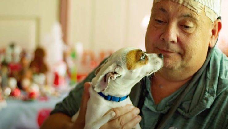 Piccolo cane con disabilità in braccio all'uomo in ospedale