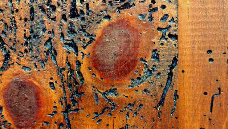 Superficie di legno con buchi e alterazioni