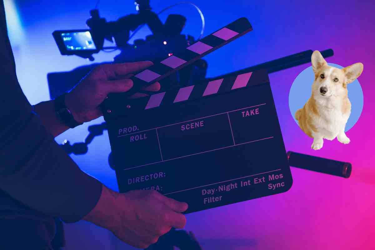  Non li ucciderò mai nei miei film :La scelta del regista Quentin Tarantino lascia tutti a bocca aperta