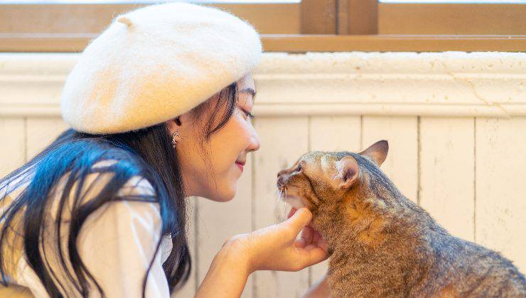 donna che parla al gatto